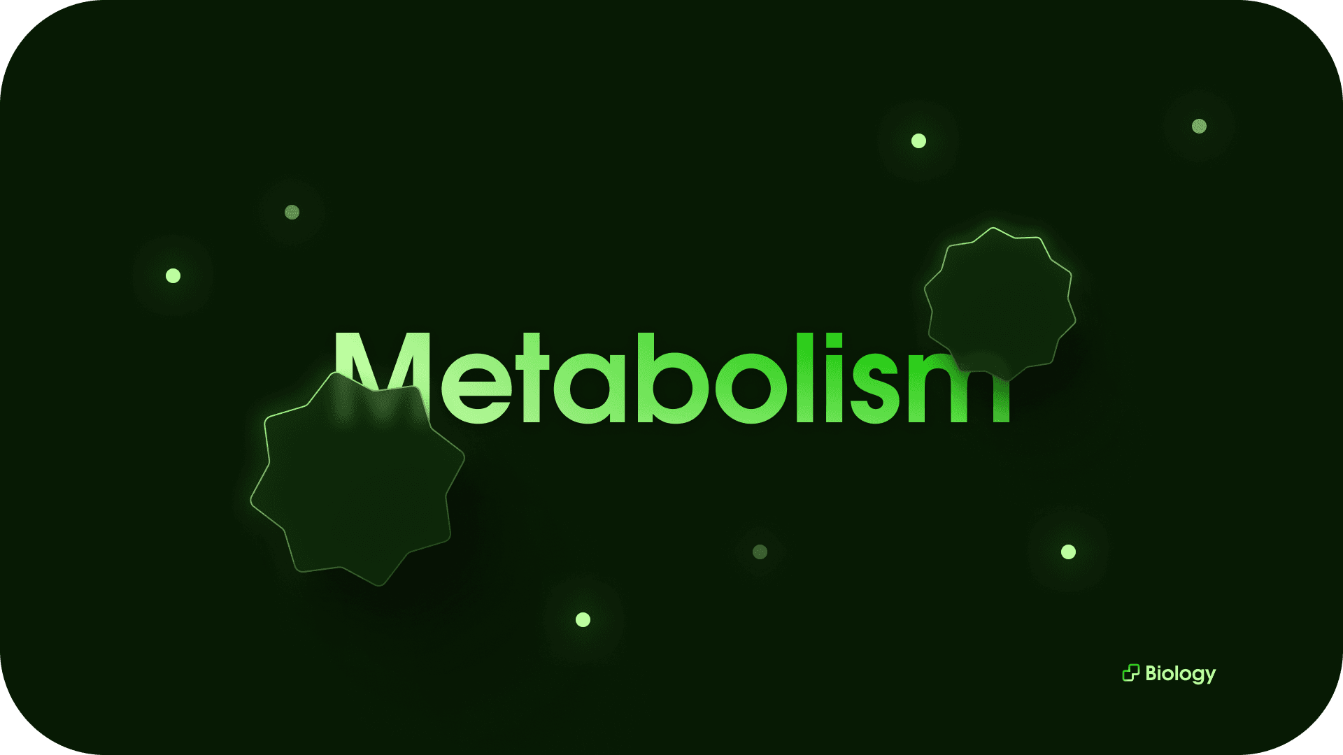 Metabolism